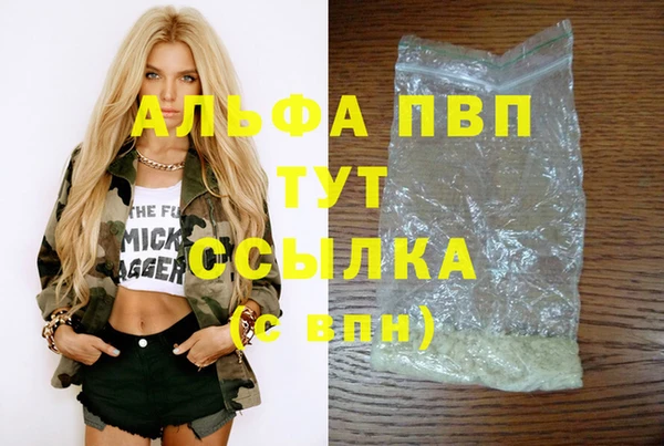 крисы Алексин