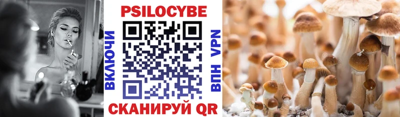 Псилоцибиновые грибы Magic Shrooms  Багратионовск 